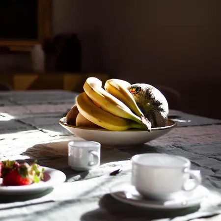 Bed & Breakfast Paola *