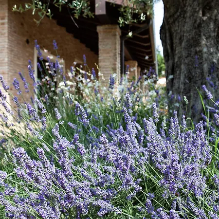 Bed & Breakfast Paola 4*