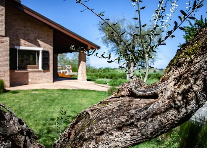 Paola Bed & Breakfast Longiano