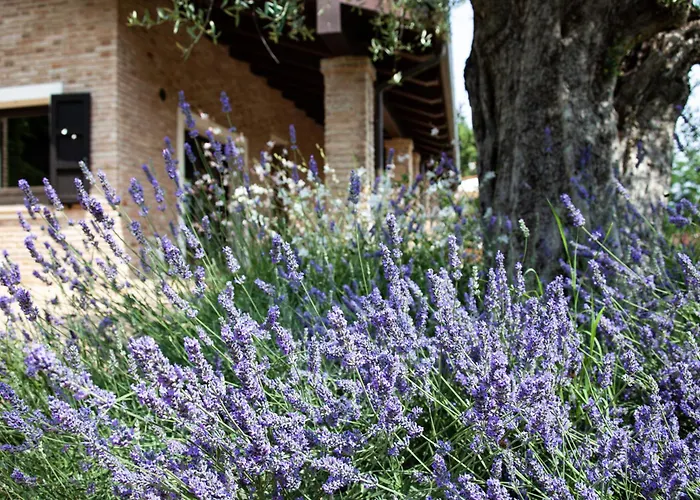 Bed & Breakfast Paola 4*