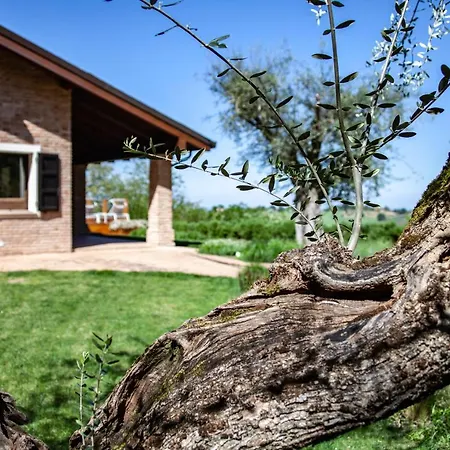 Paola Bed & Breakfast Longiano