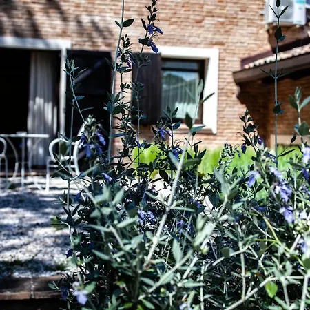 Paola Bed & Breakfast Longiano