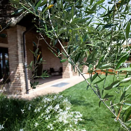 Bed & Breakfast Paola 4*